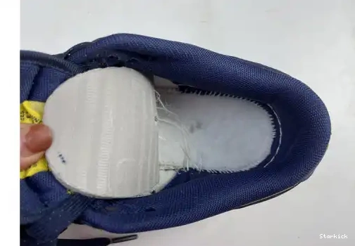 Michigan Nike Dunk DD1391-700 Low 0504